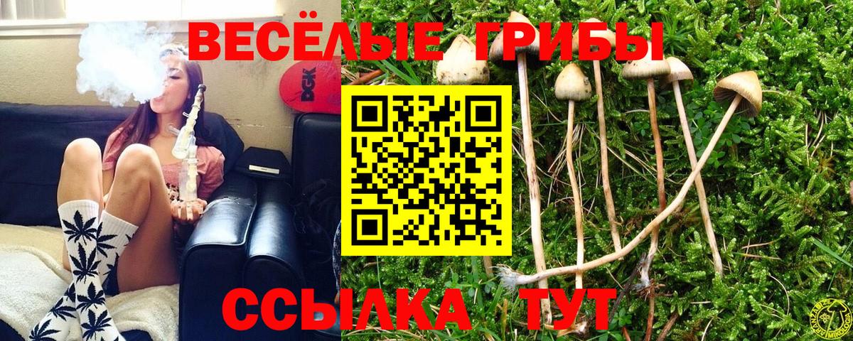 Псилоцибиновые грибы Magic Shrooms Зеленодольск